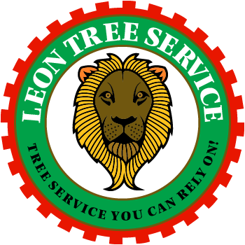 Katy tree services